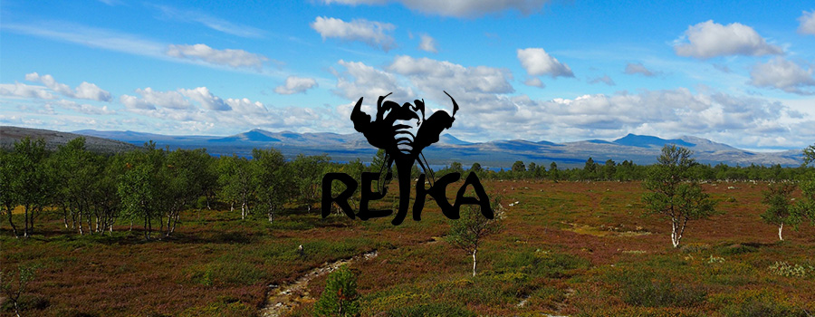 Rejka Rejka