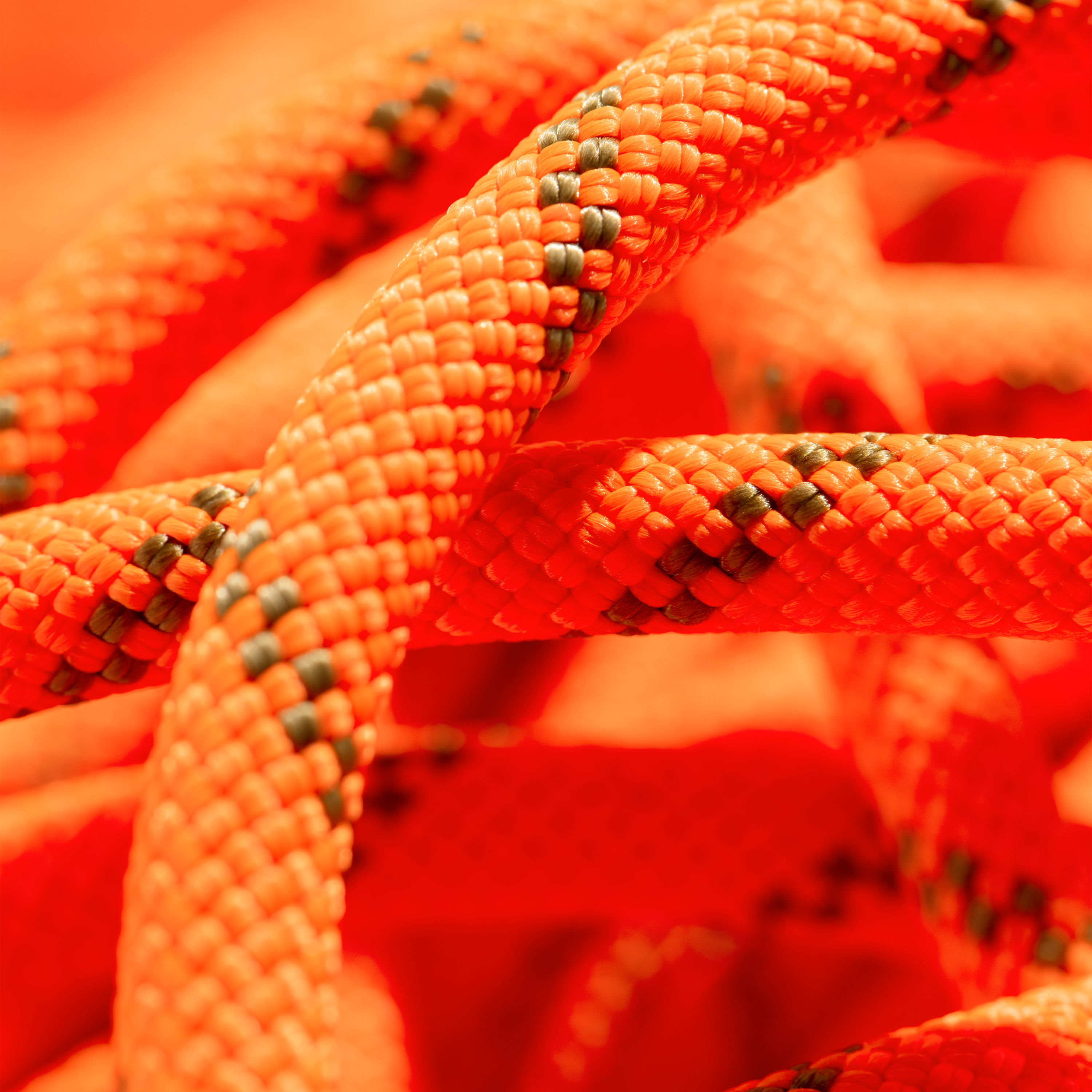 8,0 Alpine Dry Rope