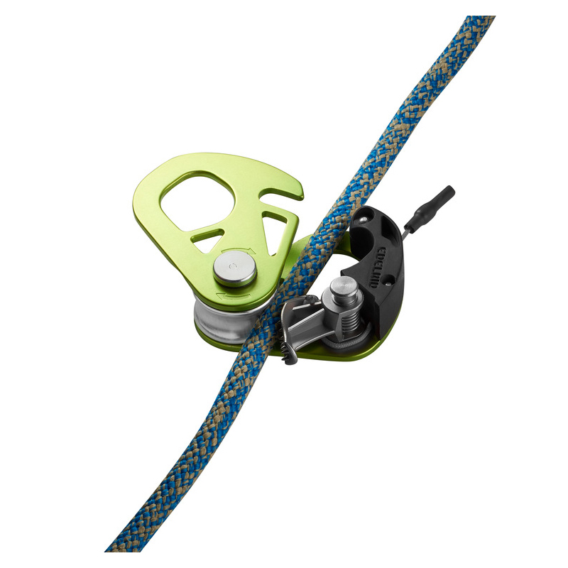 Spoc