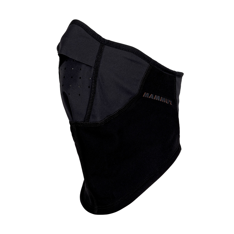 Mask Arctic WS