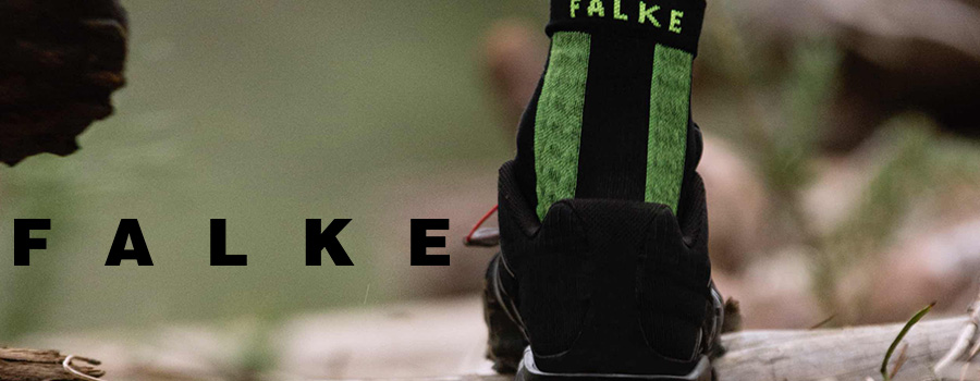 Falke Falke
