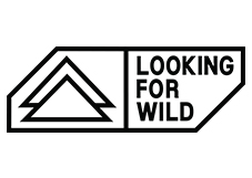 Looking for Wild